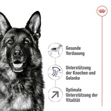 Royal Canin Maxi Adult, 5+, 15 kg,