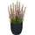 Creativ green Kunstpflanze CREATIV GREEN "Heidepflanze", rosa, H:17cm, Kunststoff, Kunstpflanzen, Kunstpflanze, mit detailgetreuer Gestaltung