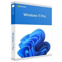 Microsoft Windows 11 Professional Online Aktivierung