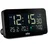 Braun BC10