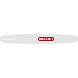 Oregon 120SDEA041 Schwert DOUBLE GUARD