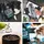 Tales & Tails Forelle und Hering 1,5 kg