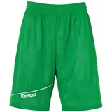 Kempa Reversible Basketballshorts Herren grün/weiß XL