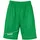 Kempa Reversible Basketballshorts Herren grün/weiß XL