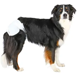 Trixie Windeln für Hündinnen Größe S-M 28-40 cm, 12 Stück