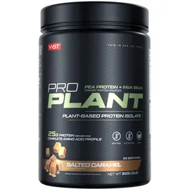 Vast Pro Plant Salted Caramel Pulver 900 g
