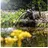 esotec Wasserspeier Frosch