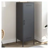 VidaXL Highboard Anthrazit 36x39x113 cm Stahl