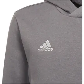 Adidas Entrada 22 Hoodie Kinder tegrfo 152