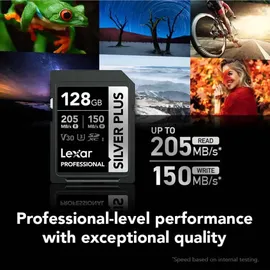 Lexar Silver Plus SDXC UHS-I 128GB