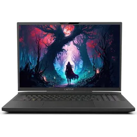 Captiva Highend Gaming I81-50317,3'' Core i9-14900HX 32 GB RAM 1 TB SSD RTX 4080