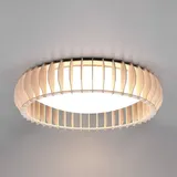 Trio Leuchten Monte Deckenleuchte, LED, R62171930,
