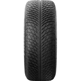 Michelin Pilot Alpin 5 215/65 R16 102H