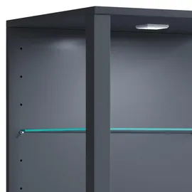 VCM Vitrine Glasol XL