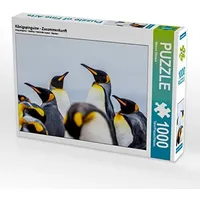 Calvendo Königspinguine - Zusammenkunft Puzzle