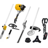 TEXAS Benzin-Multimaschine BCU52M 5 in 1