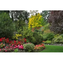 Fototapete PAPERMOON "Fluss in Garten", bunt, B:3,50m L:2,60m, Vlies, Tapeten