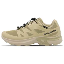 Salomon XT-EVR GTX