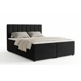 Deine Möbel 24 Boxspringbett ROCK 160 x 200 cm H4 Beige