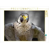 Calvendo Puzzle Wanderfalke 1000 Teile Lege-Größe 64 x 48