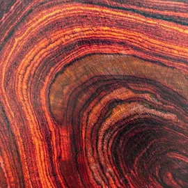 YODEYMA Elet Eau de Parfum 100 ml