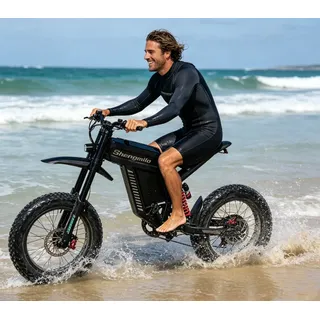 20 Zoll Offroad E-Motorrad für Erwachsene 1500W 60V 30AH 65 km/h Vollfederung
