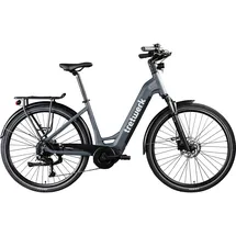 Tretwerk Amber 2023 28 Zoll RH 48 cm Damen dunkelgrau