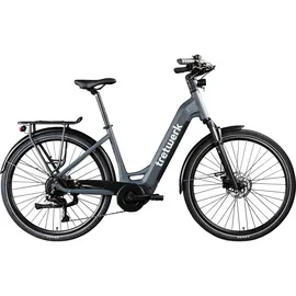 Tretwerk Amber 2023 28 Zoll RH 48 cm Damen dunkelgrau