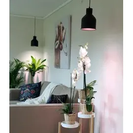 Venso SAGA Lampenschirm Schwarz