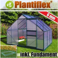 Aluminium Gewächshaus 16,07m3 mit Fundament 250x430cm Garten Pflanzenhaus Alu Treibhaus Tomatenhaus 10,75m2 - 6mm Verglasung - grün