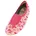 Papillon Pink 24