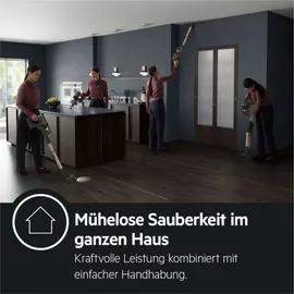 AEG Ultimate 8000 Akku-Staubsauger AP81A25ULT