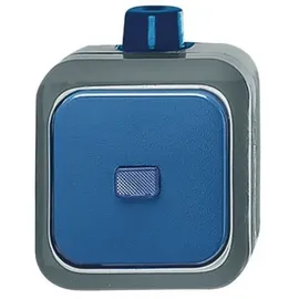 Busch-Jaeger Wechselschalter 2601/6 WDI