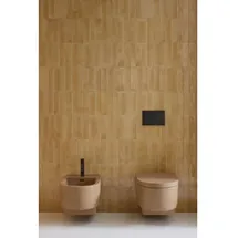 Duravit Balcoon Wand-WC mit WC-Sitz Clay terra Matt