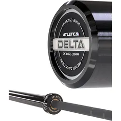 Langhantel | Delta | Battleship Grey | 20kg | IPF- & IWF-Markierungen | 50mm grau No Size