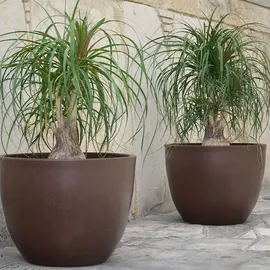 Wellhome Ordesa Ø 50 cm Bronze