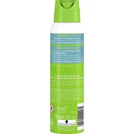 Fa Deospray Caribbean Lemon Wave langanhaltender frischer Duft 150ml