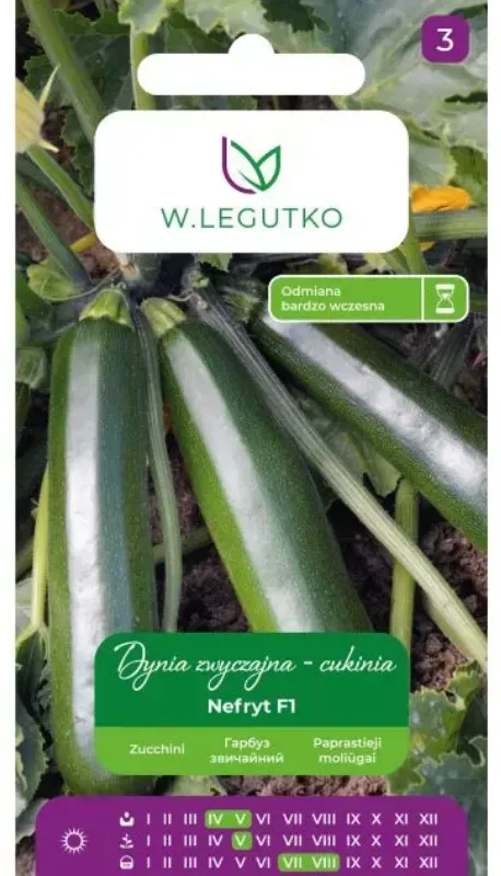 Gewöhnlicher Kürbis – Zucchini Nefryt F1 – grün