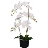 Leaf Kunstpflanze Orchidee, Blätter, 60 cm, groß, Weiß, 60cm Large White, LEAF-7040