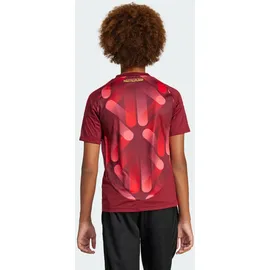 adidas DFB 25 Frauenteam Auswärtstrikot rot 134 cm