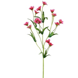 Kunstblume ZINNIE