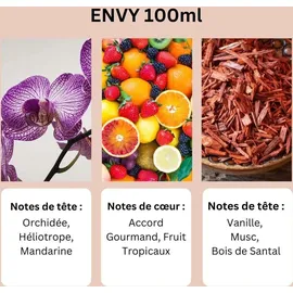 ayat perfumes Feeling Collection Envy Eau de Parfum 100 ml
