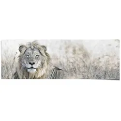 Poster REINDERS "Löwe", grün (farbe bild(er): khaki), B:158cm H:53cm, Papier, Bilder