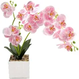 Daily Treasures 13-Köpfe künstliche Orchidee Blume im Topf, 50cm Faux Schmetterling Orchidee mit Plastikvase, Topf-Orchideenblumen, Phalaenopsis Innendekoration für Zuhause Tisch Tafelaufsatz (lila)
