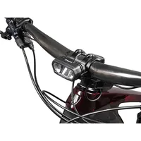 Lupine SL MiniMax Giant E-Bike Frontlicht StVZO 2100 Lumen