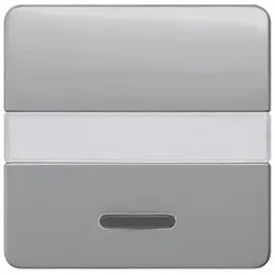 Siemens 5TG7935 DELTA profil Wippe mit Fenster und Schriftfeld, silber
