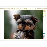 Calvendo Yorkshire-Terrier Welpe Puzzle