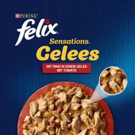 FELIX Sensations Gelees Katzenfutter nass mit Rind & Tomate 26 x 85 g