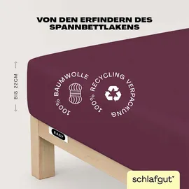 schlafgut Easy Jersey 120 x 200 - 130 x 200 cm purple deep