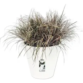 elho Loft Urban rund Ø 58 x 54 cm weiß